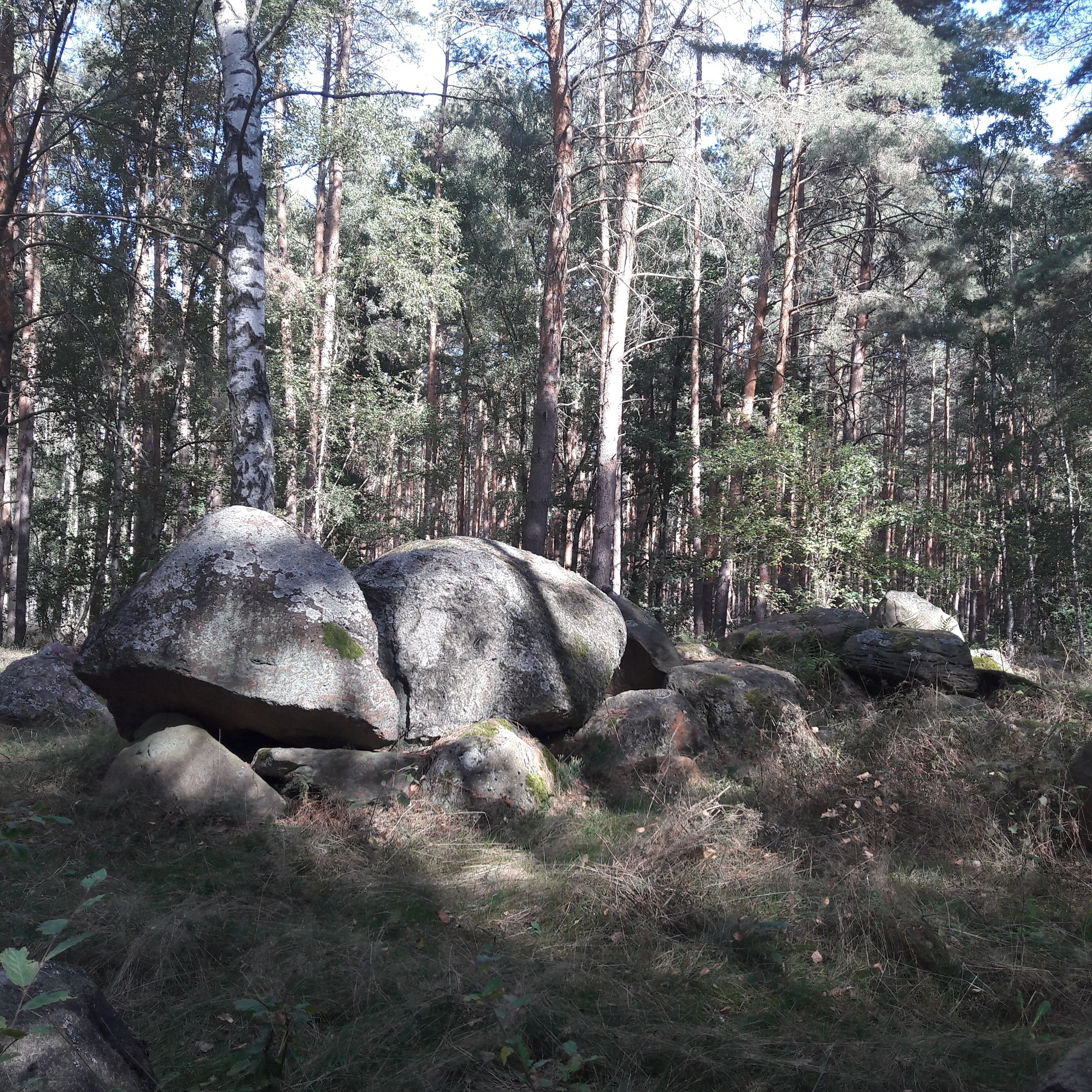 Dolmen_HDL