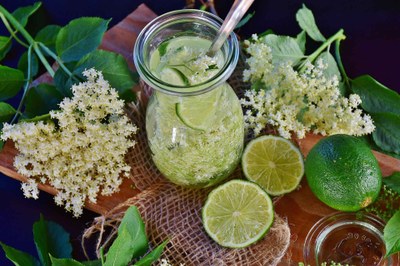 Hollersirup