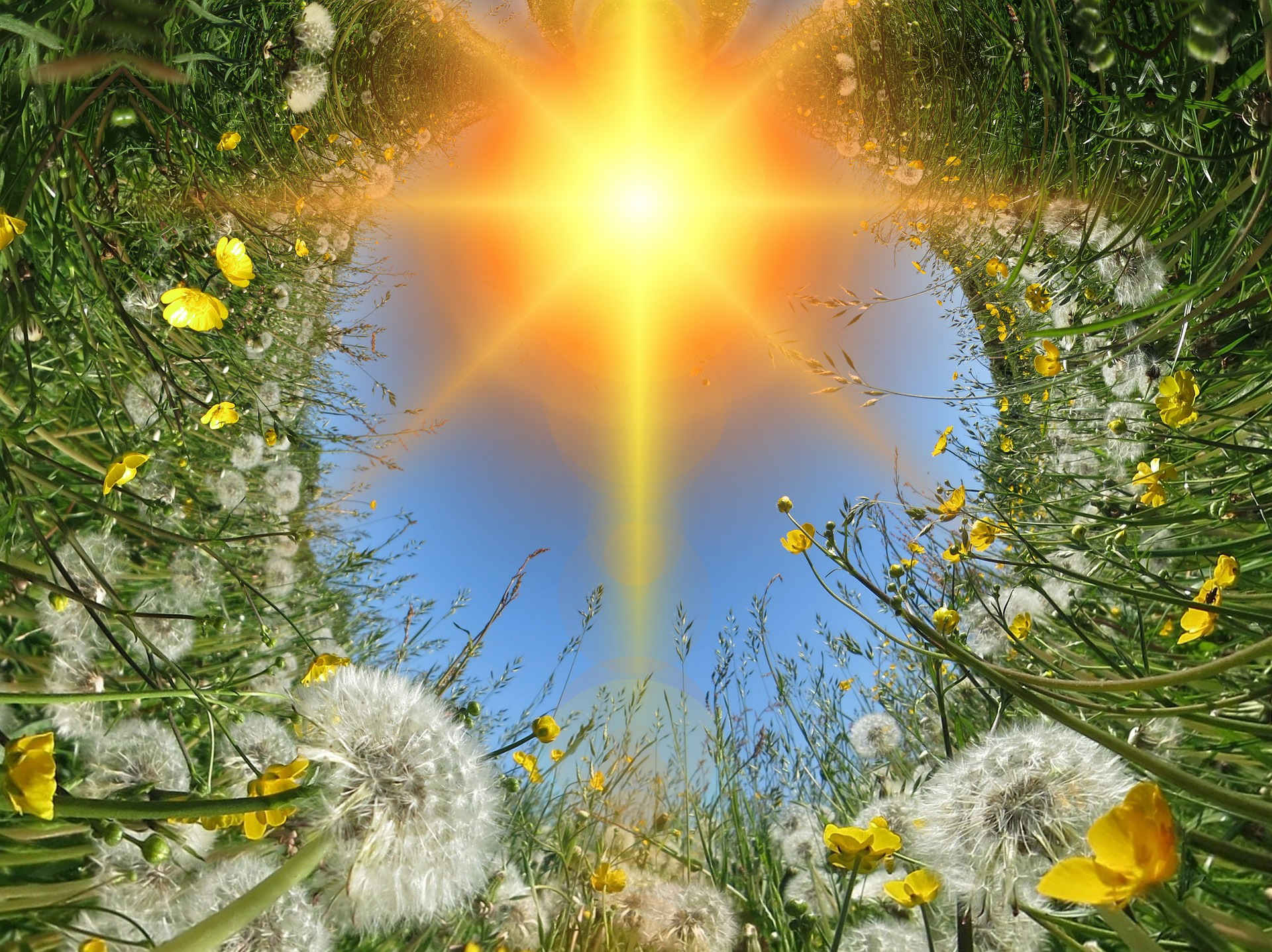 Sonnenwiese