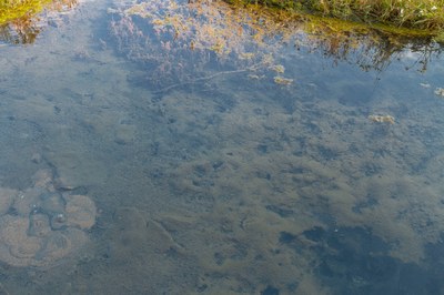 Salzsee_01
