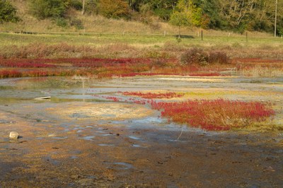 Salzsee_02