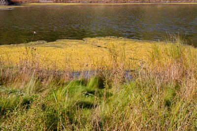 Salzsee_03