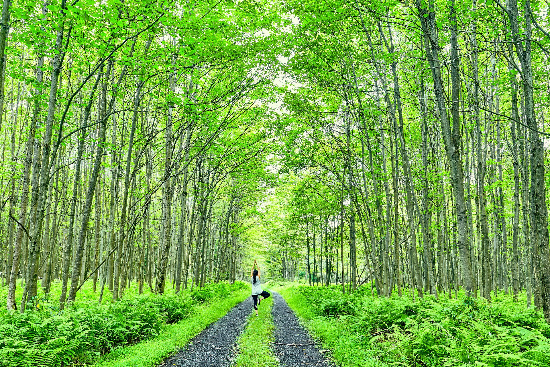 Yoga im Wald