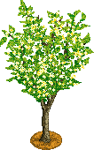 baummitblten.gif