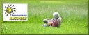 sommercamp_2011.jpg