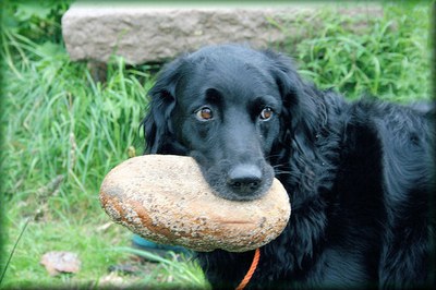 2-coco_mit_Brot.jpg