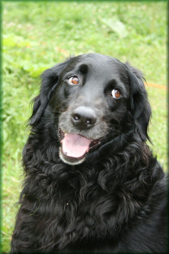 2-lachender_Coco.jpg