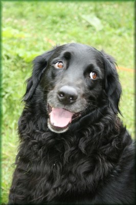 2-lachender_Coco.jpg