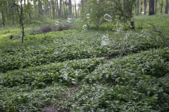 Baerlauchpark_03.jpg