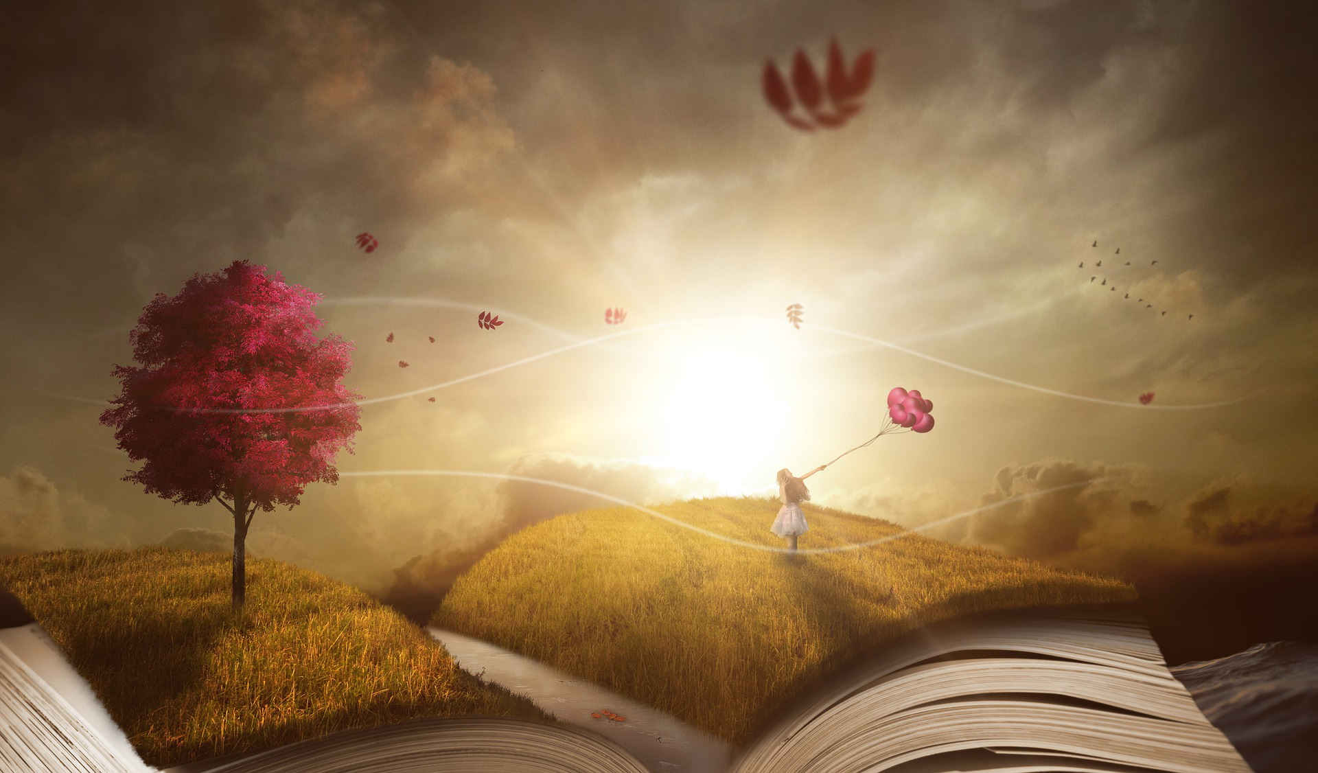 buchlandschaft