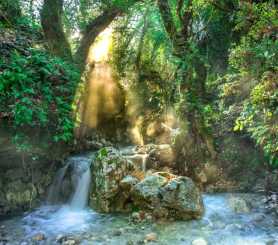 Lichtung_mit_Wasserfall