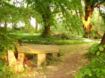 Magischer_ort_02.jpg