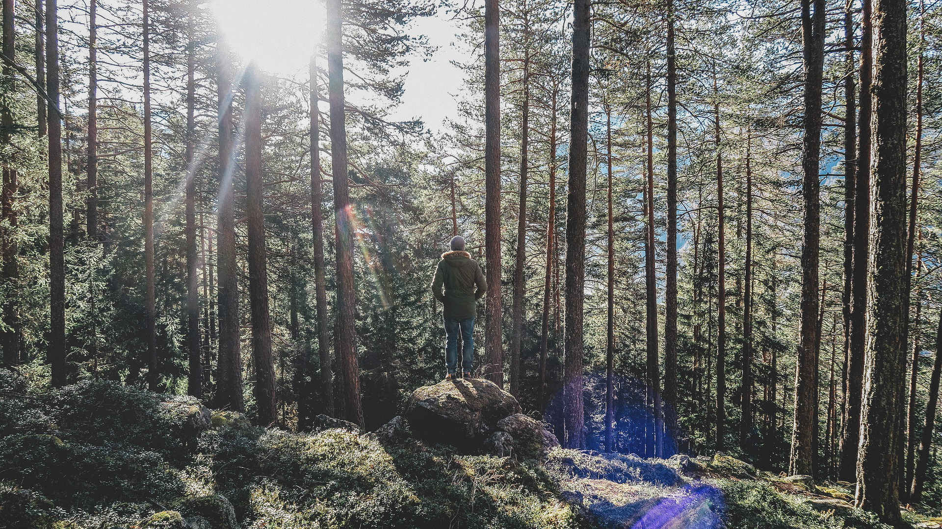 mensch_im_Wald