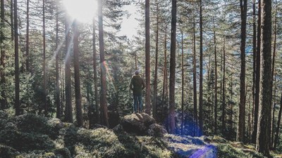 mensch_im_Wald