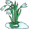Schneegloeckchen.gif