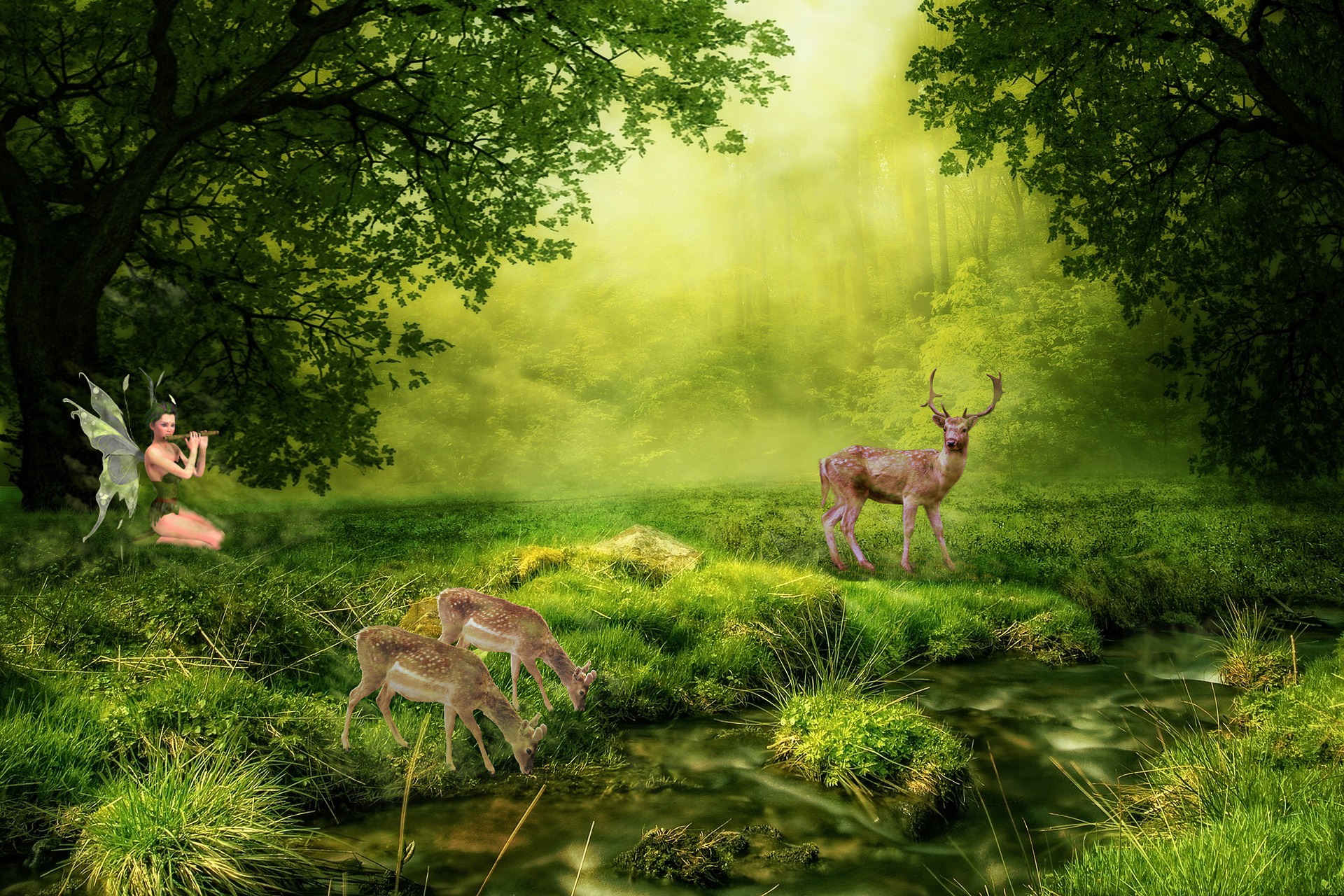 Waldlichtung