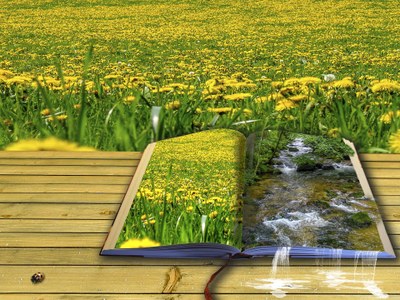 Wiesenbuch