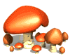 pilz_01.gif