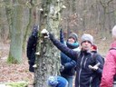 Gilly weiß viel zu berichten von der Heilkraft und Verwendung der Baumpilze