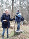 Dort wo die Energien fließen, tanzen die Bäume und ja, wenn man genau hinschaut, kann man sie entdecken, die gedrehten Zauberstäbe, die Runenstäbe.