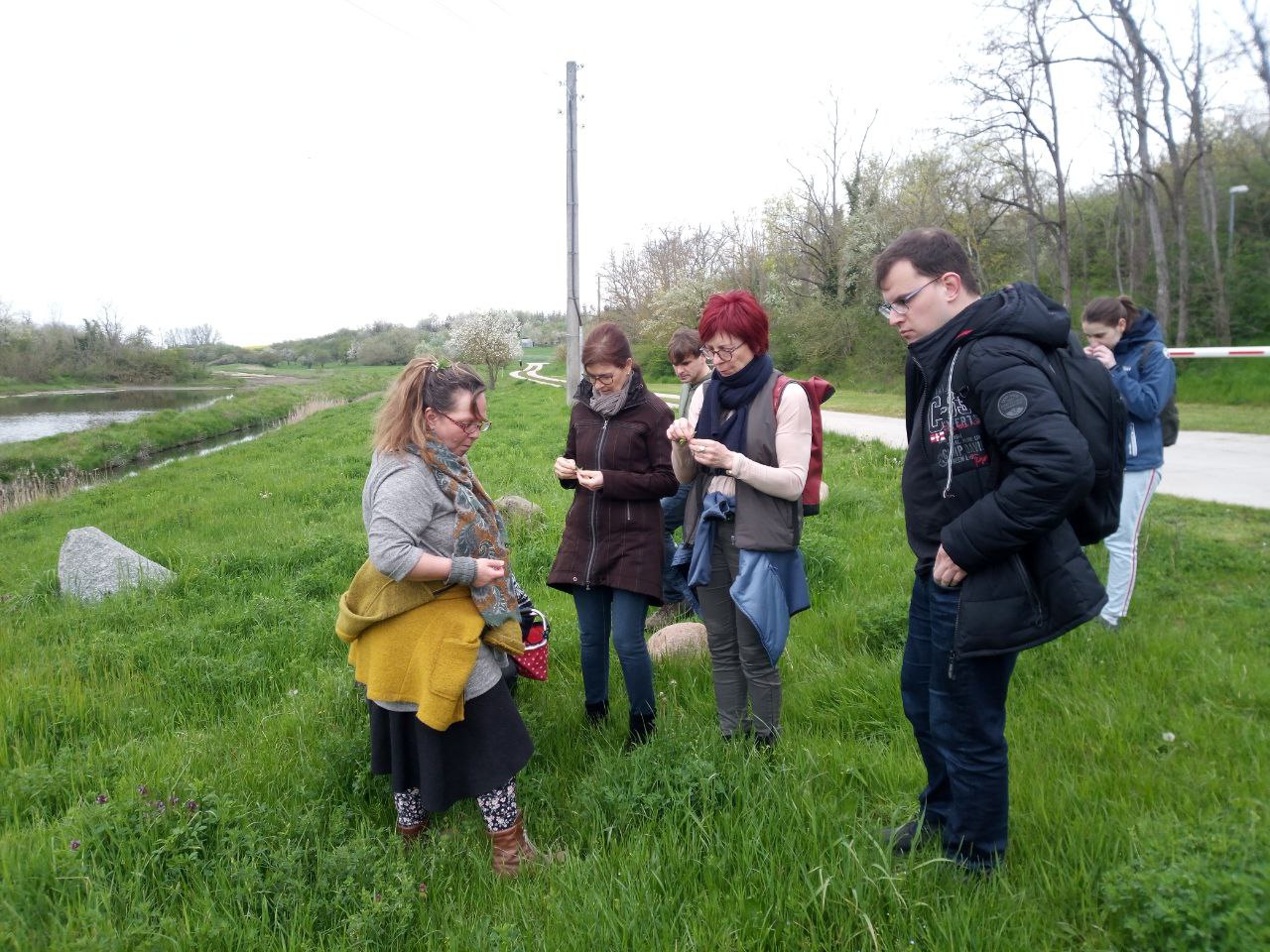 Wildkräuter Naturlehrpfad