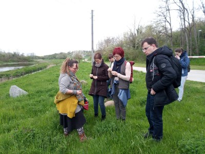 Wildkräuter Naturlehrpfad