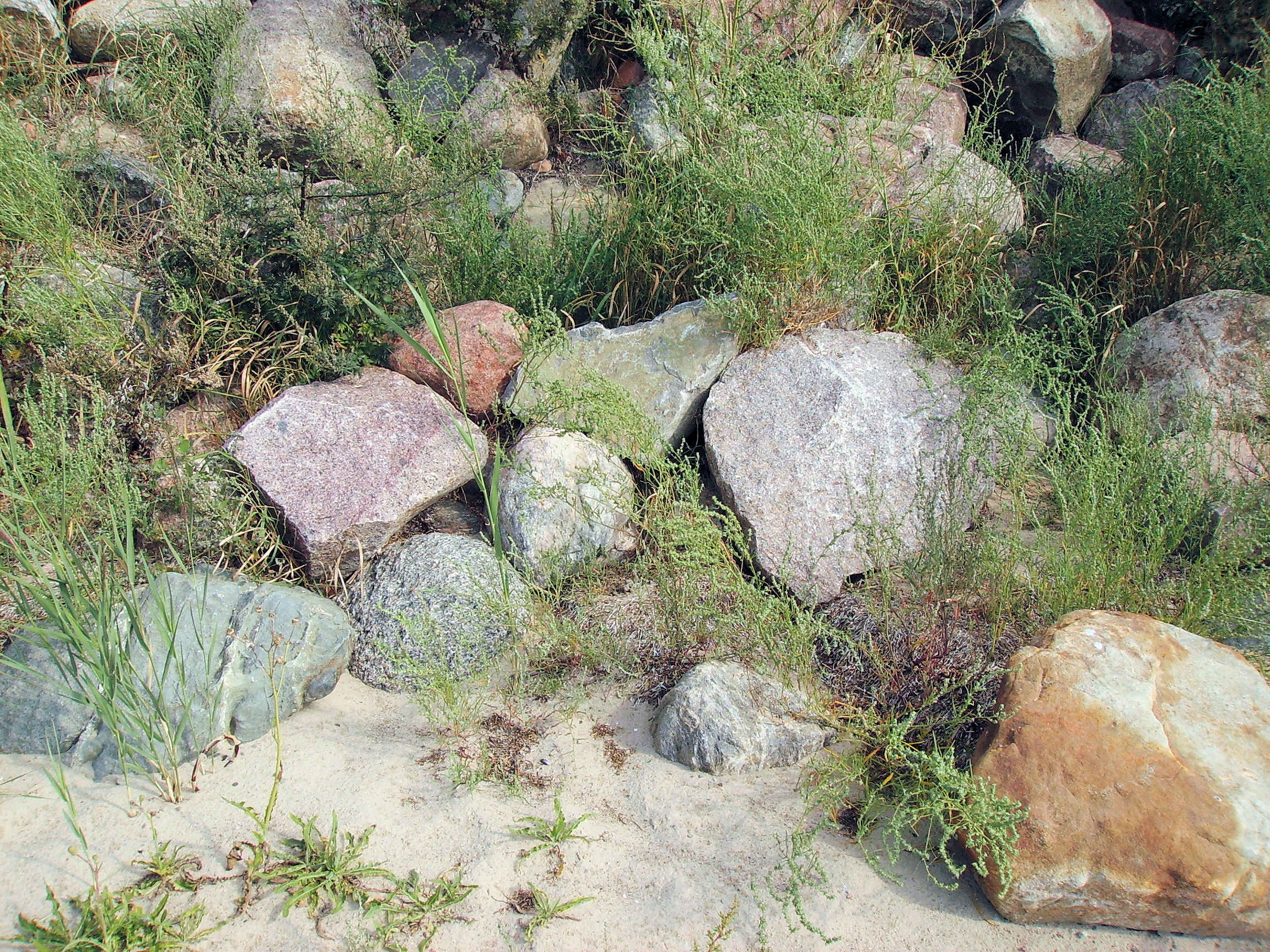 Strandsteine