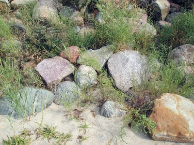 Strandsteine