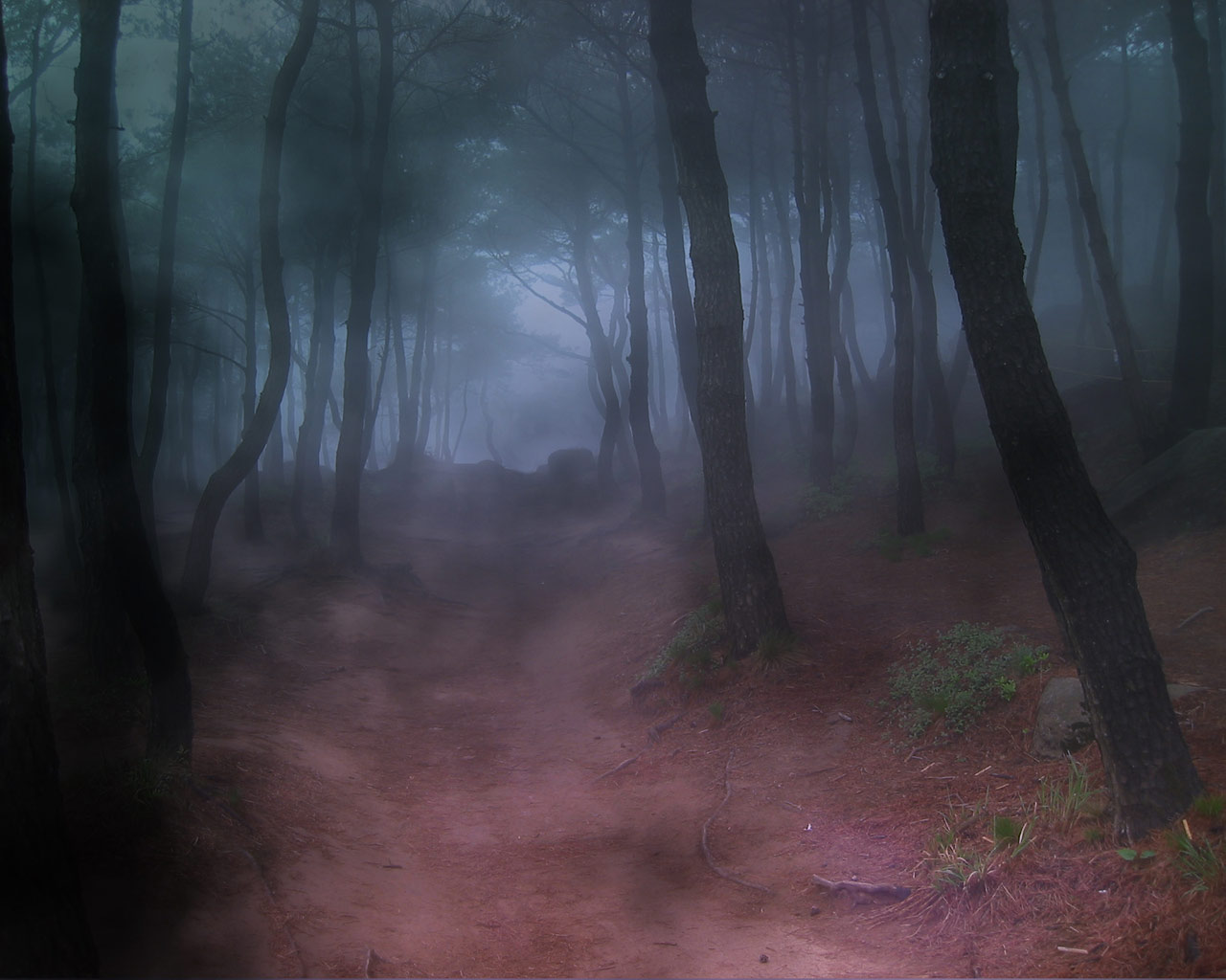 3D_Wald_1.jpg