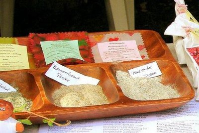 Salzschalengr.JPG