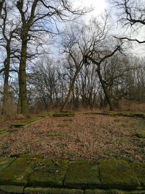 Quelle_05 null
