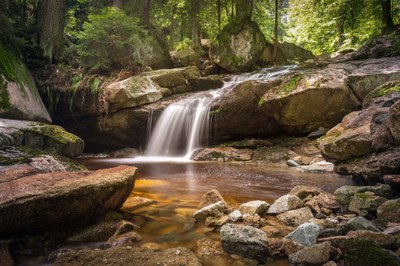 Harz