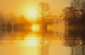 landschaft_02.gif