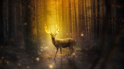 Beltaine_Hirsch