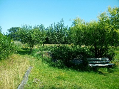 Garten_02