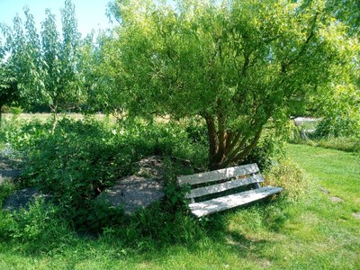 Garten_06