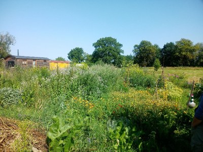 Garten_01