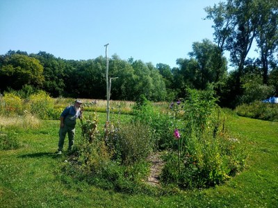 Garten_03