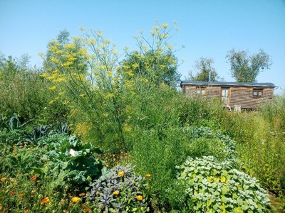 Garten_04