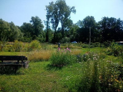 Garten_05