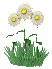 mareriten.gif