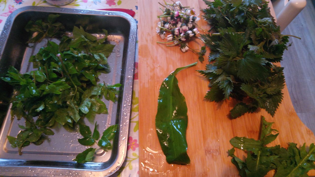 Frühlingskraeuter