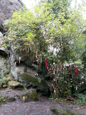 Hollerbusch_Externsteine_2022