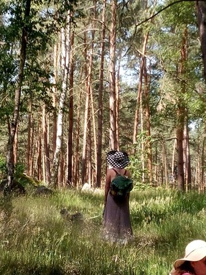 Mittsommer im Dolmenwald