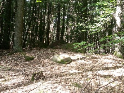 Dolmen_im_Auenwald_01