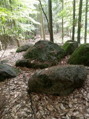 Dolmen_im_Auenwald_02