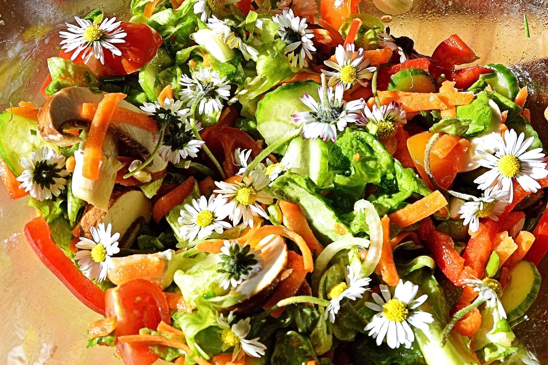 Wildkraeutersalat