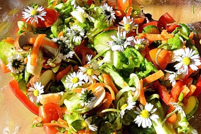 Wildkraeutersalat