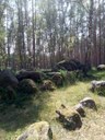 Hier ist die urweibliche Kraft spürbar verankert. Ein Verweilen an diesem Dolmen umfängt uns in umfassendem Geborgensein, öffnet Pforten, innere Schau in urweibliche Themen, ganz aktuelle Themen rund um das Thema Weiblichkeit, Mutterschaft, weibliche Zyklen.